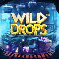 Wild Drops Logo