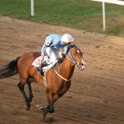 Beginners’ Guide to Horse Race Betting