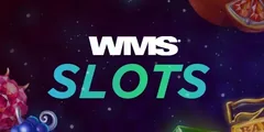 WMS slots logo