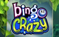 Bingo Crazy